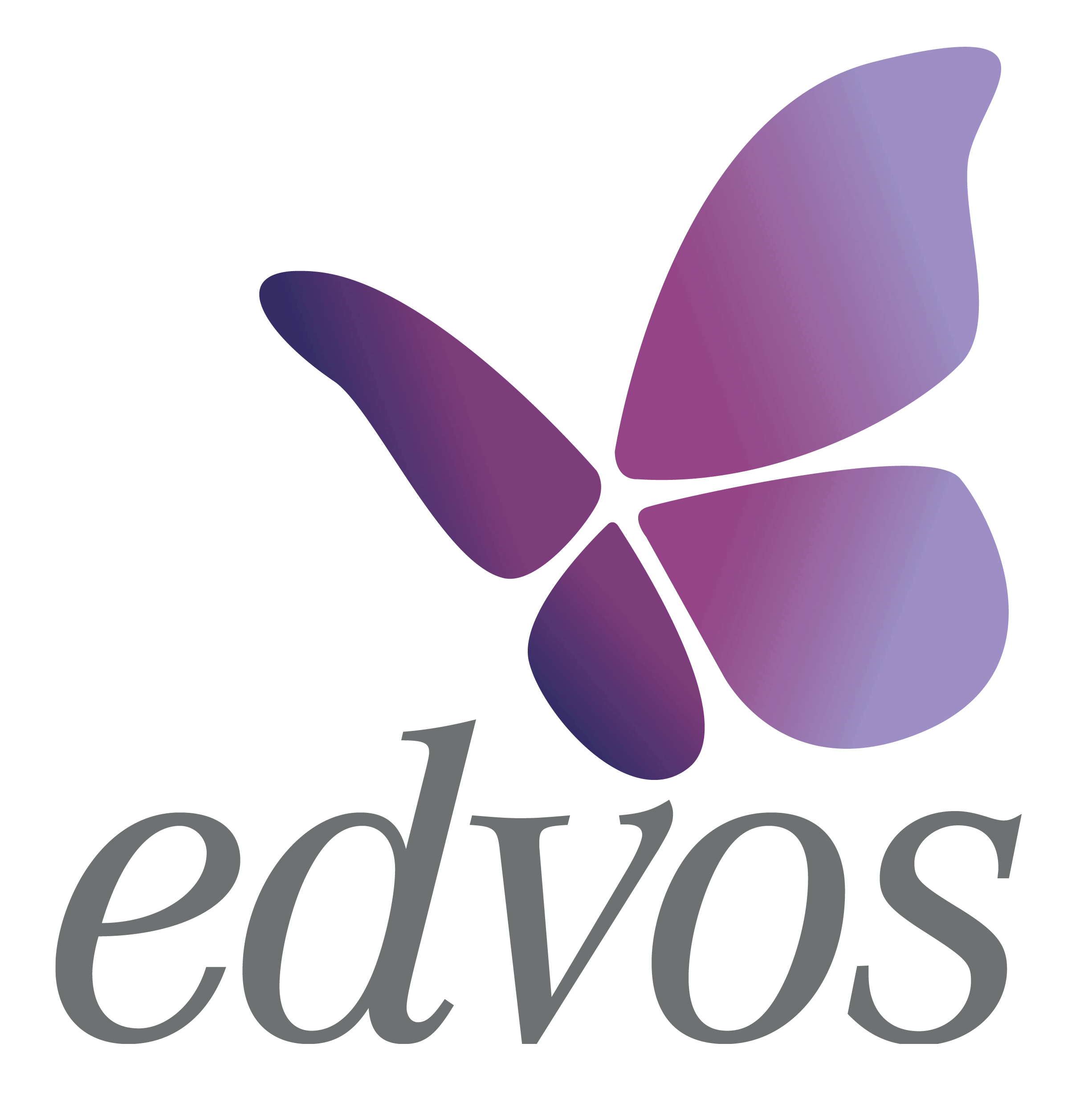 Data Entry Administration Support Officer at EDVOS - Jobs
