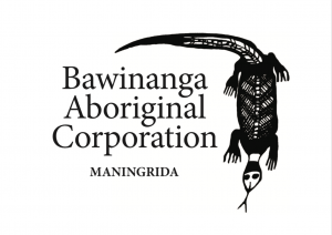 Chief Executive Officer, Bawinanga Aboriginal Corporation