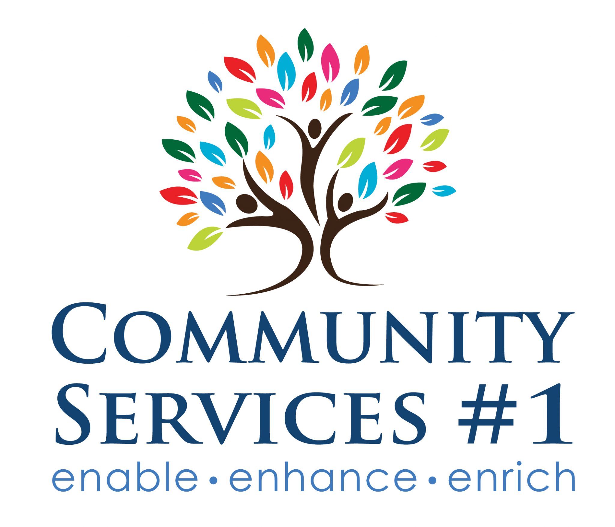 Chief Finance Officer at Community Services #1 - Jobs