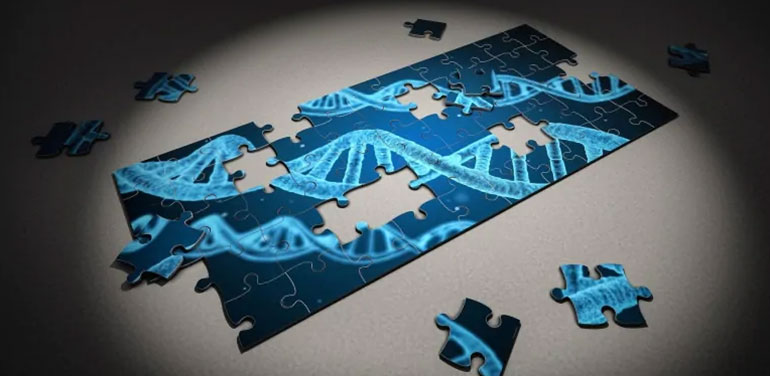 DNA jigsaw puzzle
