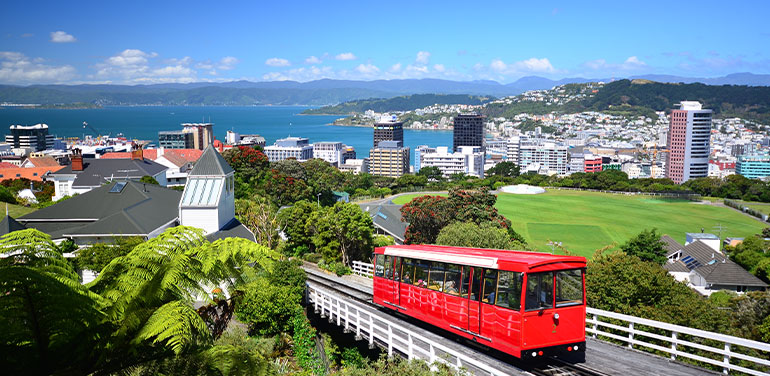 view of Wellington
