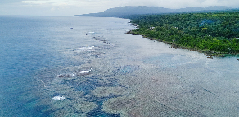 Aerial view of coast, showing coral under water and trees on land