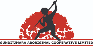 Aboriginal Family Led Decision Making Community Convenor (AFLDM)