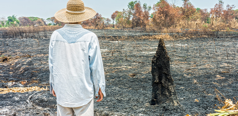 Farmer looking at burnt earth after bushfire