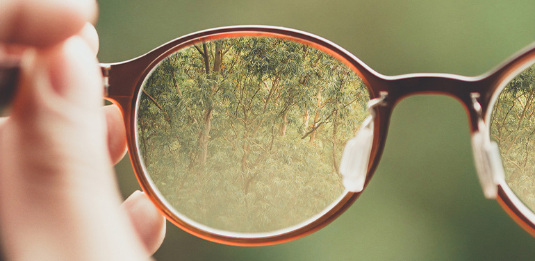 hand holding up pair of glasses looking at a forest