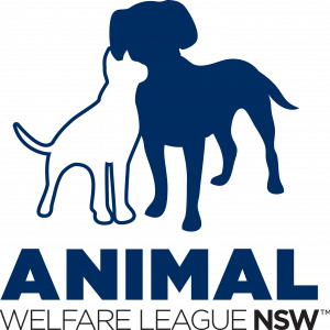 HR Manager at Animal Welfare League NSW - Jobs