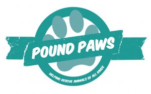 Fundraising / Sales Role Fundraising / Sales Role