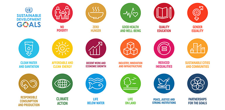 Vision for the world 2030-Sustainable development goals