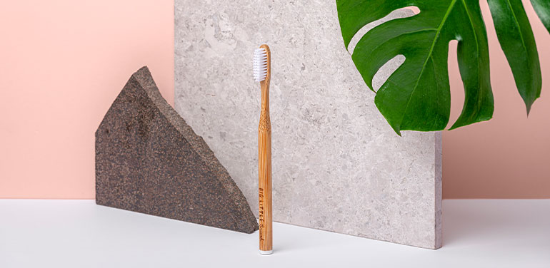 a big little brush standing against a stone and a pink background
