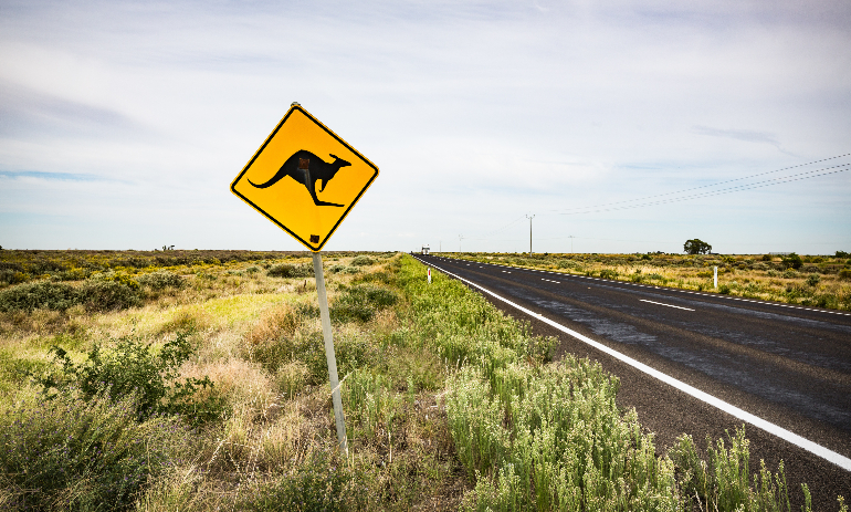 Kangaroo warning sign post along an isolated outback road. South west New South Wales.