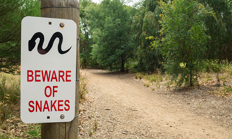 Beware of snakes sign on a footpath