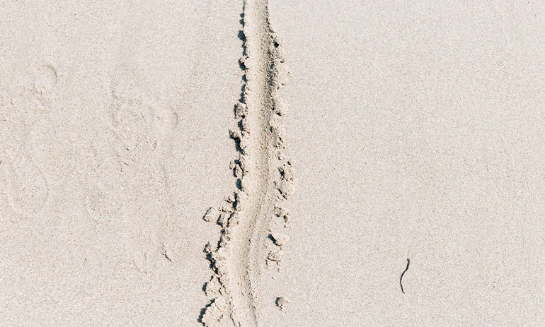 a line drawn in sand
