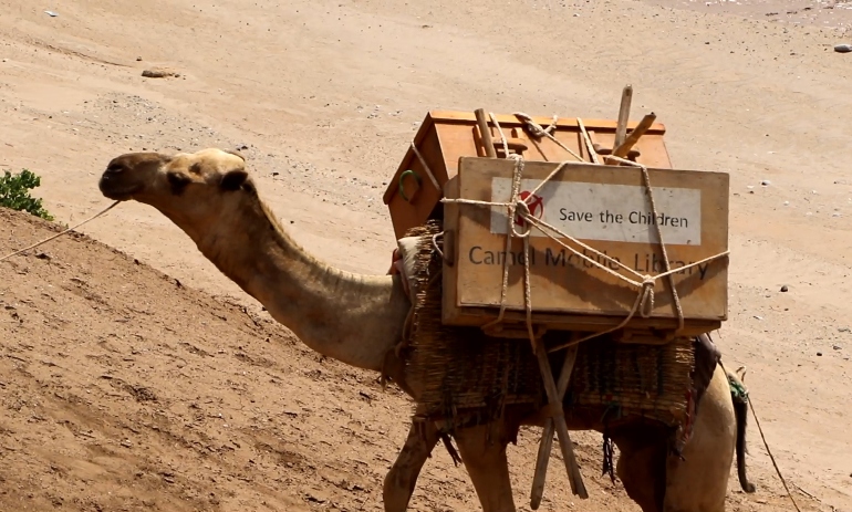 A camel carries books to children in the Somali region of Ethiopia as part of the Save the Children camel library
