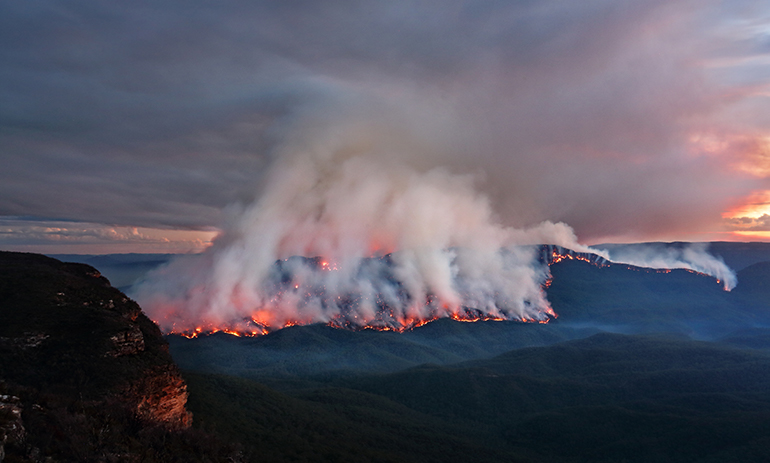 bushfire