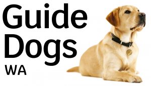Puppy Whelping Coordinator – Guide Dogs WA