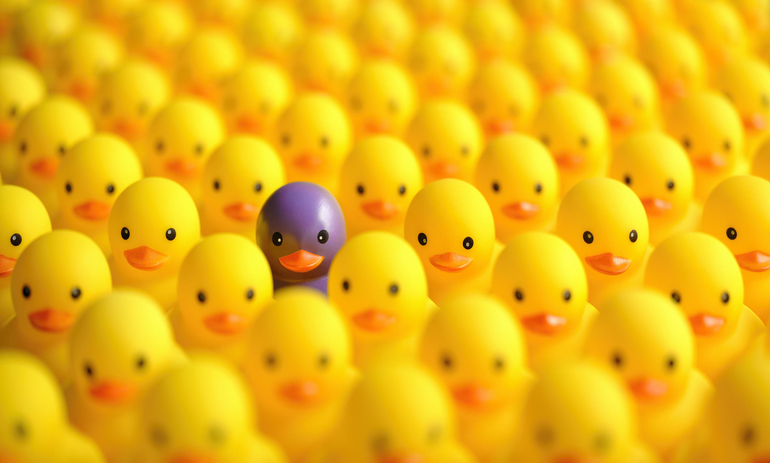 lots of yellow rubber ducks with one purple duck standing out from the crowd