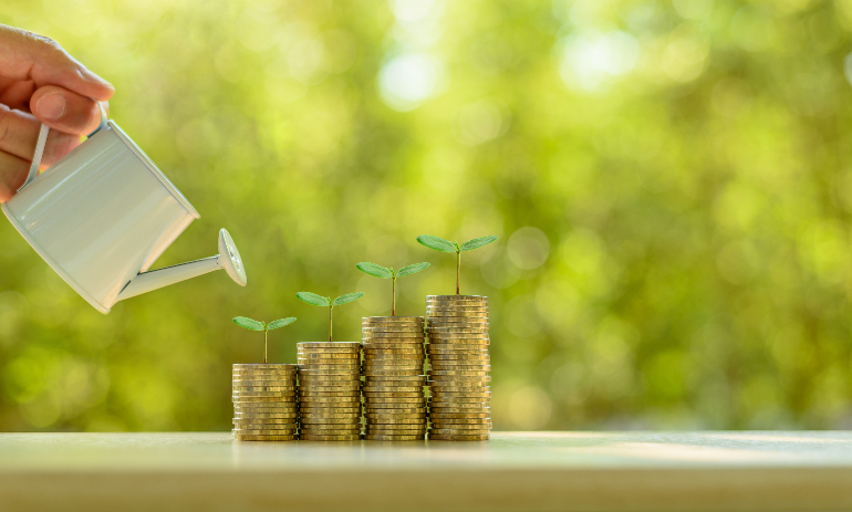 Investor pours water from watering can, sprout on rows of rising coins