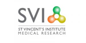 Chief Executive Officer, SVI Foundation