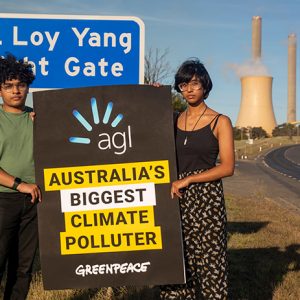 AGL is taking Greenpeace to court. What does that mean for