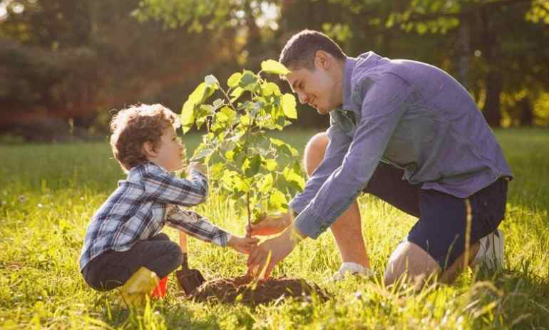 Man and young boy planting a tree