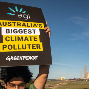 Environment groups back Greenpeace in AGL legal battle PBA