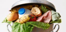 Connecting the dots between food waste and climate change