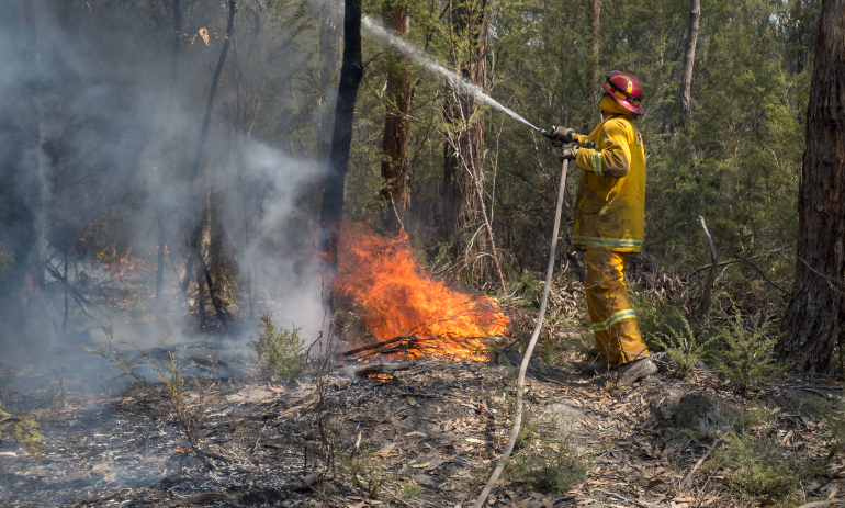 Firefighter fighting bushfire