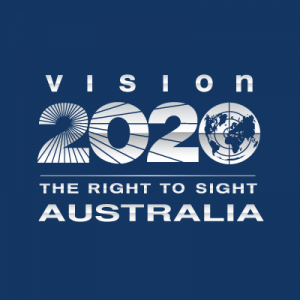 Vision Initiative Health Promotion Project Lead