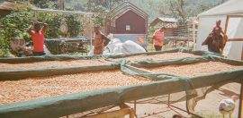 How Kua Coffee built a connection between farmer and consumer