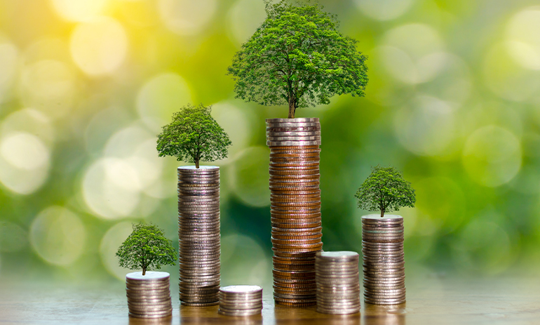 small green trees sit on top piles of coins