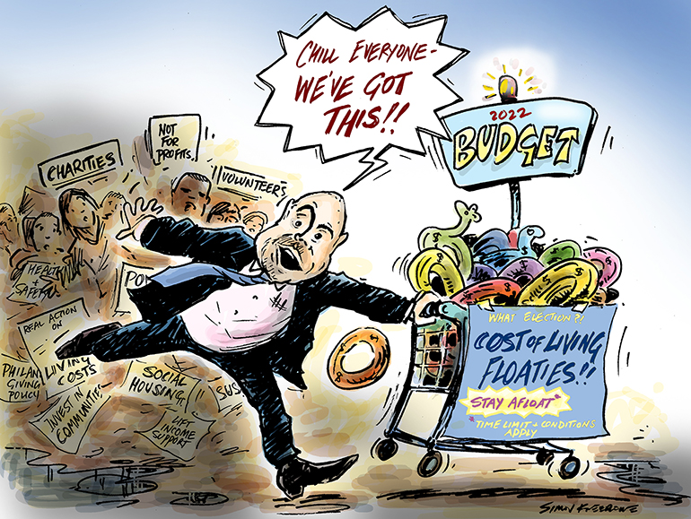 Budget cartoon