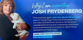Guide Dogs Victoria launches investigation after CEO publicly backs Josh Frydenberg