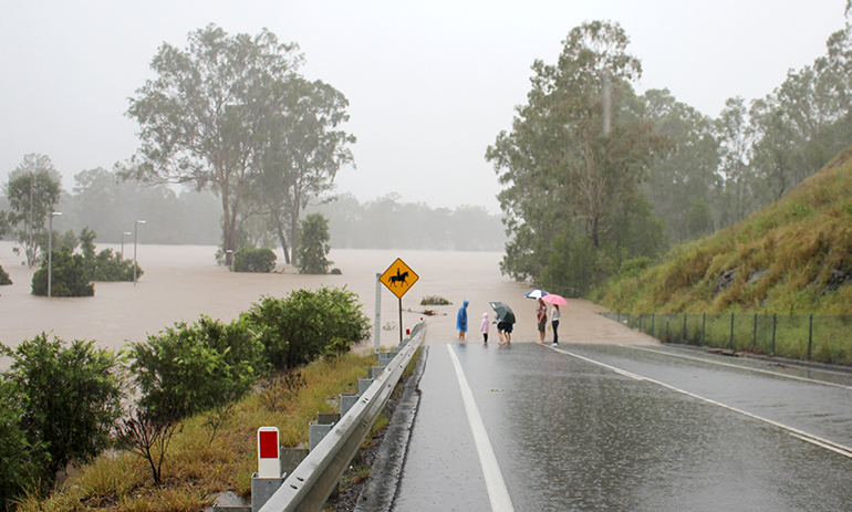 Group of people looking at flood water in Brisbane