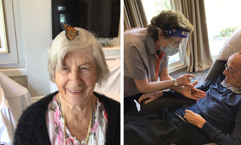 A composite photos. On the left is an image of an old lady smiling at the camera with an orange butterfly on her head. On the right is an image of an old man in a chair, with a nurse in a mask and face shield bending over him, showing him an orange butterfly in her hand.