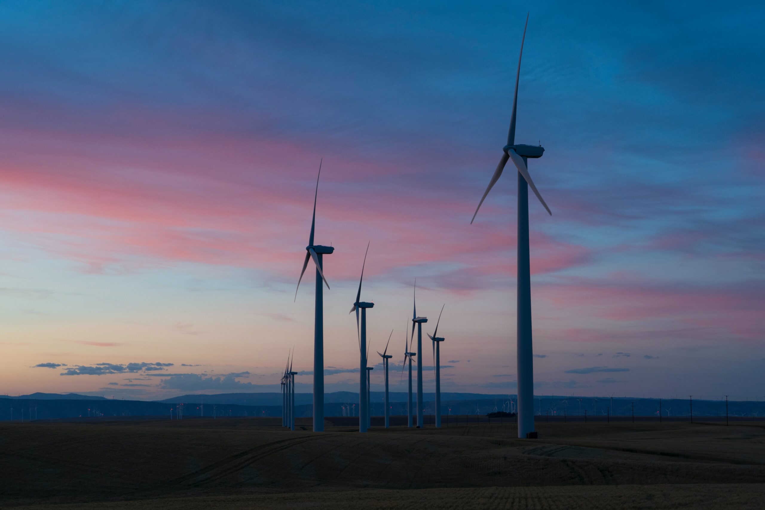 A field of wind turbines silhouetted in the sunset.