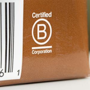 Have your say on the evolution of B Corp certification - PBA