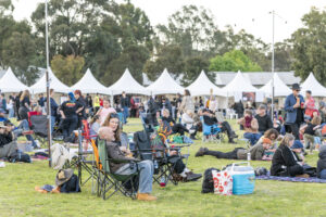 A crowd of people seated and standing on the grass at Treaty Day Out.