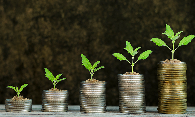 money growing in value alongside plants growing in size