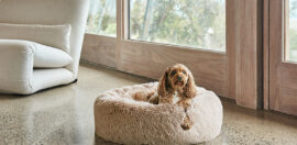 The five values driving eco-friendly pet bedding