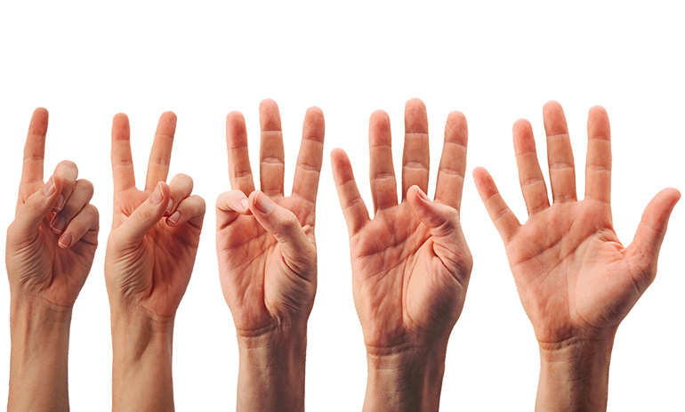 Five hands raised, counting from one to five on their fingers.