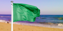 The 11 green flags of a great employee, what are yours?