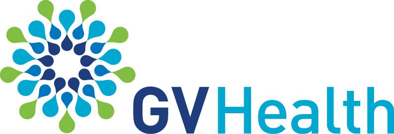 chief-corporate-affairs-officer-at-gv-health-jobs